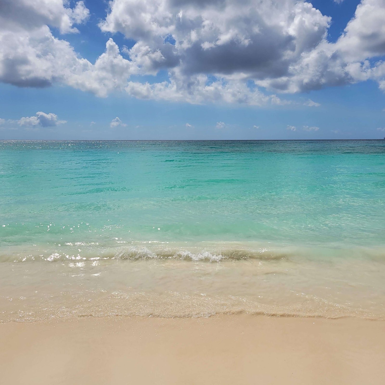 1659507034-aruba-beaches-divi-2022-01-15-5-1-scaled