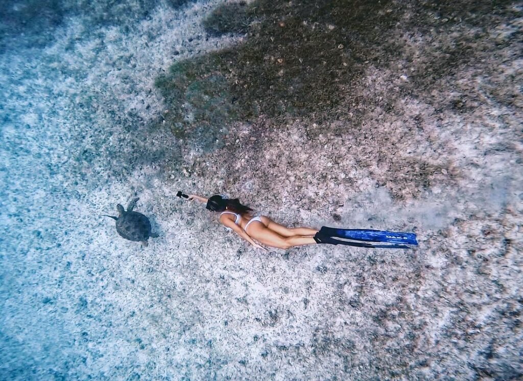 captioner Captioner 1 1024x745